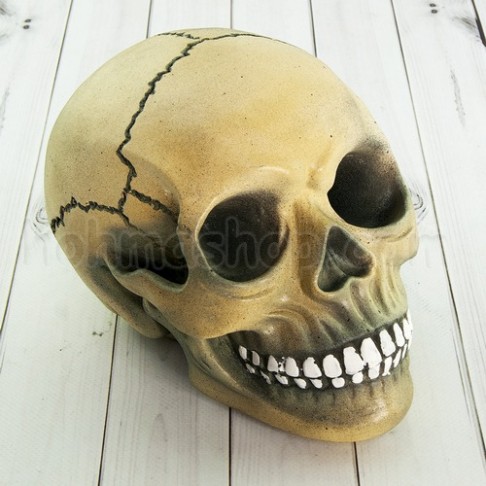 Череп декоративний скарбничка