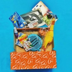 Підбірка приколів